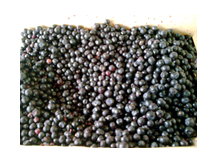 ооо тзф Замороженные ягоды.